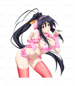 Akeno Sexy Girl