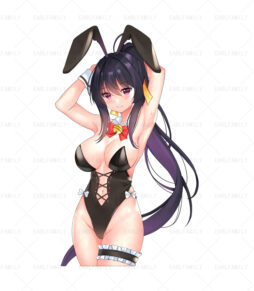 Akeno Bunny Girl