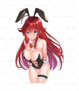 Rias Gremory Bunny Girl