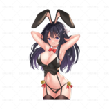 228462 Himejima-Akeno-High-School-Dxd- 1151.2043