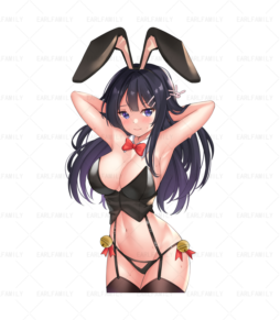 Akeno Bunny Girl