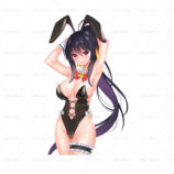 228463 Himejima-Akeno-High-School-Dxd- 1563.2671