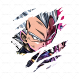 283140 dragon ball (15) 742.840