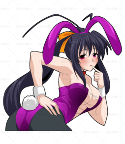 Akeno Bunny Girl