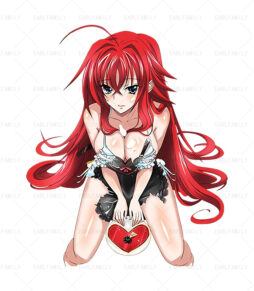 Rias Gremory Bundling