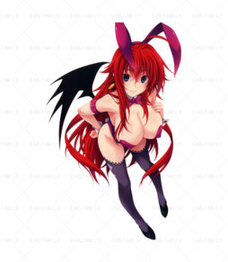 Rias Gremory Little Devil