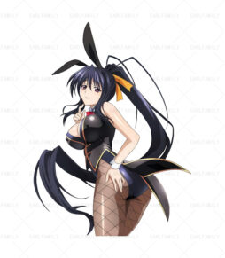 Akeno Bunny Girl