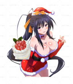 Akeno Christmas Costumes