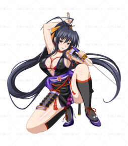 Akeno Ninja