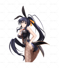Akeno Bunny Girl