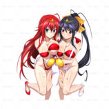 455025 Rias Gremory Himejima Akeno (2) 800.964