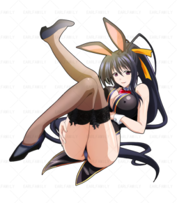 Akeno Bunny Girl