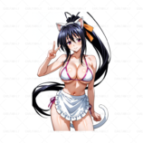 527795 Himejima Akeno (1) 795.1200