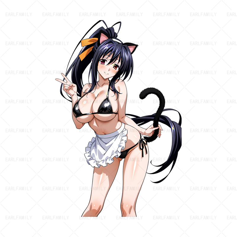 527796 Himejima Akeno (4) 772.1200 527796 Himejima Akeno (4) 772.1200