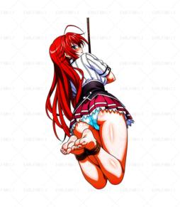 Rias Gremory Bundling