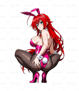 RIas Gremory Bunny Girl