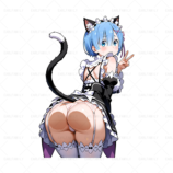 532246 Rem (6) 798.1193.